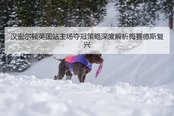 汉密尔顿英国站主场夺冠策略深度解析梅赛德斯复兴